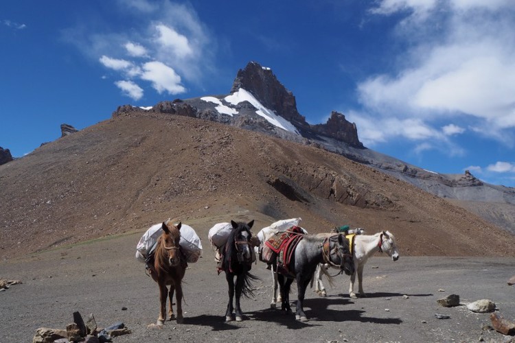 Trek Ladakh, Zanskar