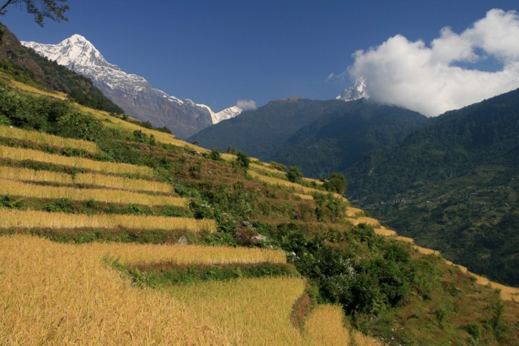 Trek Mardi Himal a Chitwan národní park